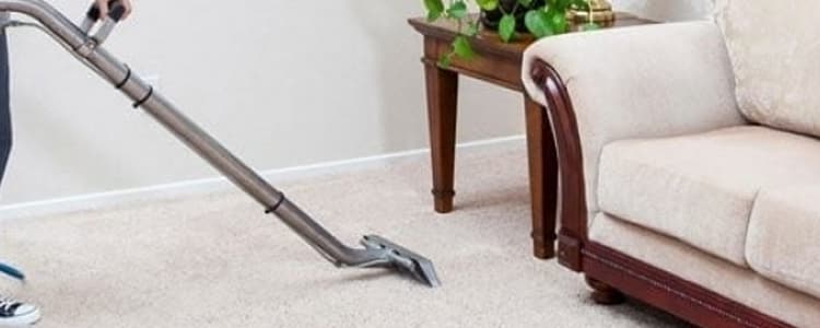 Best End of Lease Carpet Cleaning Ringwood